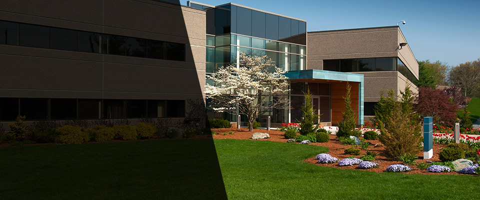 Jacksonville Beach Landscapers