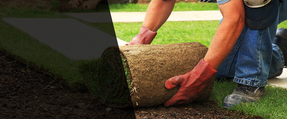 Jacksonville Beach Landscapers